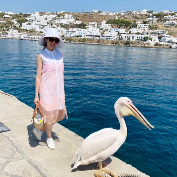 PRADA 2017 Dress Made in Italy - Picture 11 of 11